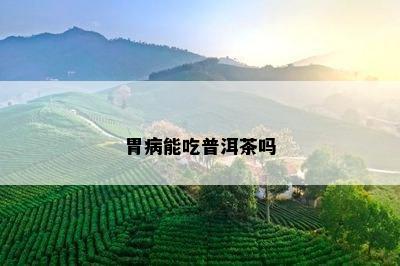 胃病能吃普洱茶吗