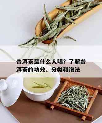 普洱茶是什么人喝？了解普洱茶的功效、分类和泡法