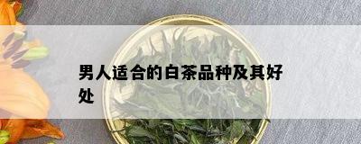 男人适合的白茶品种及其好处