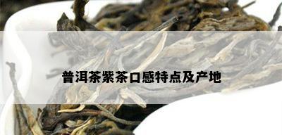 普洱茶紫茶口感特点及产地