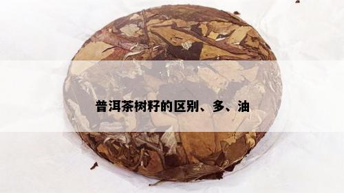 普洱茶树籽的区别、多、油