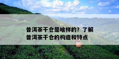 普洱茶干仓是啥样的？了解普洱茶干仓的构造和特点