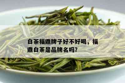 白茶福鼎牌子好不好喝，福鼎白茶是品牌名吗？