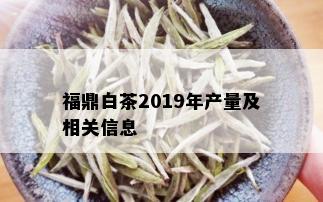 福鼎白茶2019年产量及相关信息