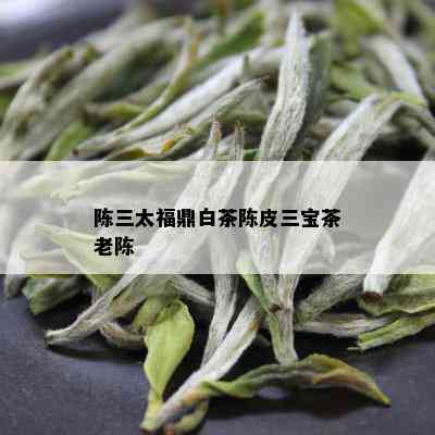 陈三太福鼎白茶陈皮三宝茶老陈