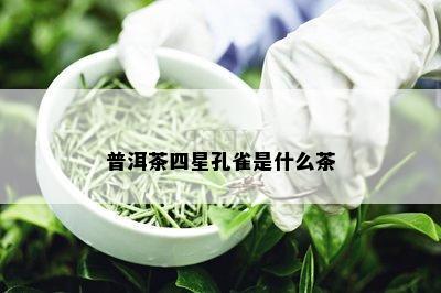 普洱茶四星孔雀是什么茶