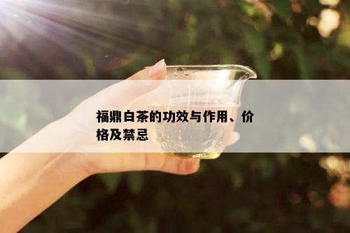 福鼎白茶的功效与作用、价格及禁忌