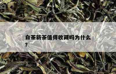 白茶新茶值得收藏吗为什么？