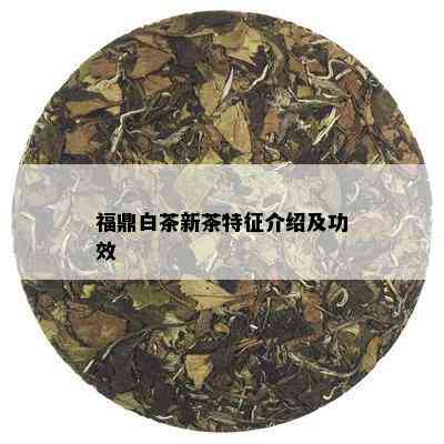 福鼎白茶新茶特征介绍及功效