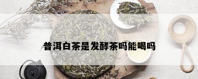 普洱白茶是发酵茶吗能喝吗