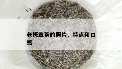 老班章茶的照片、特点和口感