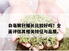 白毫银针细长比较好吗？全面评估其相关特征与品质。