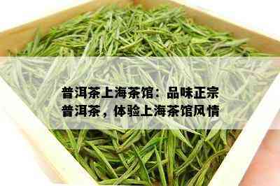 普洱茶上海茶馆：品味正宗普洱茶，体验上海茶馆风情