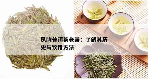 凤牌普洱茶老茶：了解其历史与饮用方法