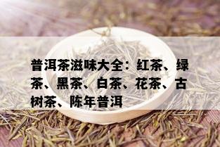 普洱茶滋味大全：红茶、绿茶、黑茶、白茶、花茶、古树茶、陈年普洱