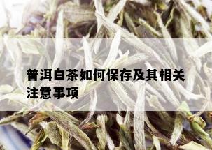 普洱白茶如何保存及其相关注意事项