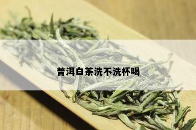 普洱白茶洗不洗杯喝