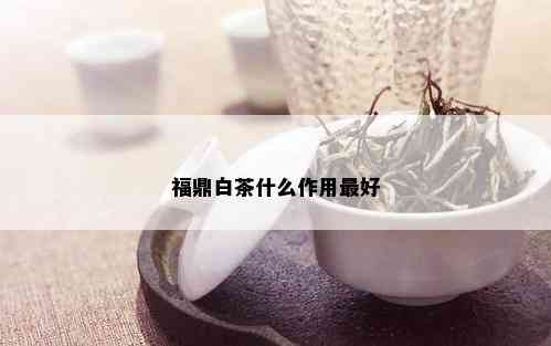 福鼎白茶什么作用更好