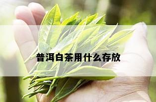 普洱白茶用什么存放