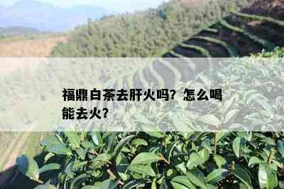 福鼎白茶去肝火吗？怎么喝能去火？