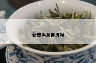 新普洱茶要洗吗