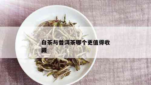 白茶与普洱茶哪个更值得收藏