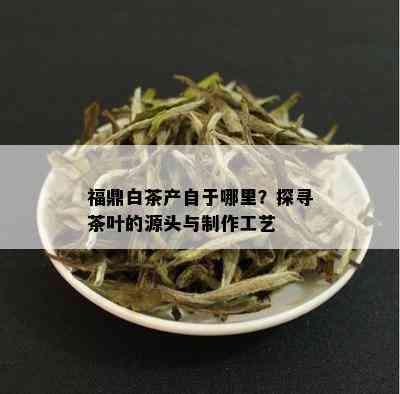 福鼎白茶产自于哪里？探寻茶叶的源头与制作工艺