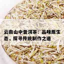 云南山中普洱茶：品味原生态，探寻传统制作之道