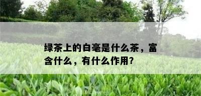 绿茶上的白毫是什么茶，富含什么，有什么作用？