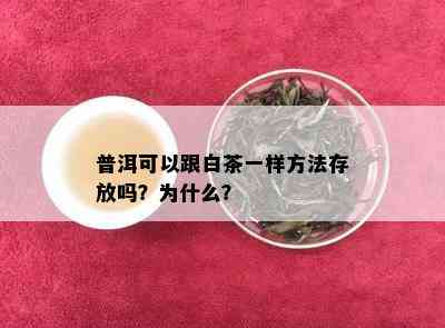 普洱可以跟白茶一样方法存放吗？为什么？