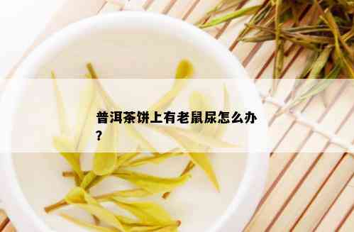 普洱茶饼上有老鼠尿怎么办？