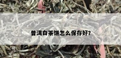 普洱白茶饼怎么保存好？