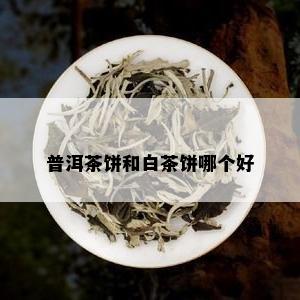 普洱茶饼和白茶饼哪个好