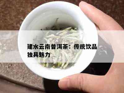 建水云南普洱茶：传统饮品独具魅力