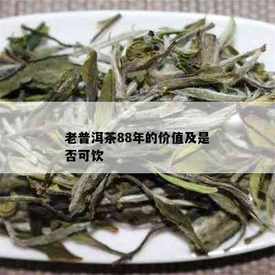 老普洱茶88年的价值及是否可饮