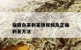 福鼎白茶剥茶饼视频及正确剥茶方法