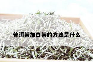 普洱茶加白茶的方法是什么