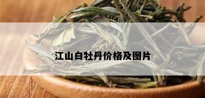 江山白牡丹价格及图片