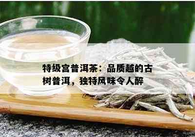 特级宫普洱茶：品质越的古树普洱，独特风味令人醉