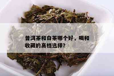 普洱茶和白茶哪个好，喝和收藏的高档选择？