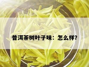 普洱茶树叶子味：怎么样？