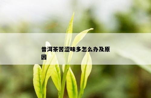 普洱茶苦涩味多怎么办及原因