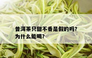 普洱茶只甜不香是假的吗？为什么能喝？