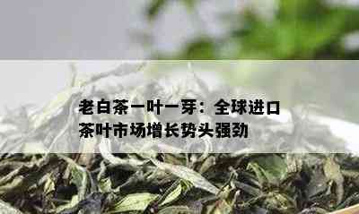 老白茶一叶一芽：全球进口茶叶市场增长势头强劲