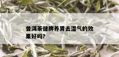 普洱茶健脾养胃去湿气的效果好吗？