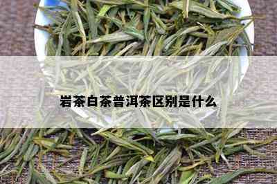 岩茶白茶普洱茶区别是什么