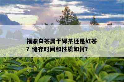 福鼎白茶属于绿茶还是红茶？储存时间和性质如何？