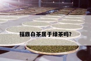 福鼎白茶属于绿茶吗？