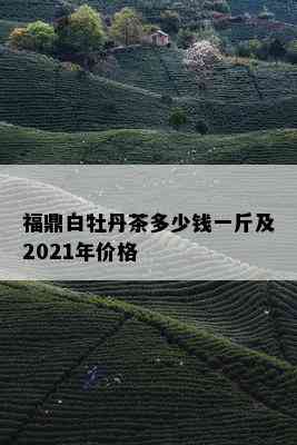 福鼎白牡丹茶多少钱一斤及2021年价格