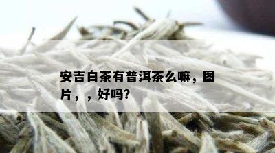 安吉白茶有普洱茶么嘛，图片，，好吗？